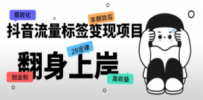 抖音流量标签变现项目，抖音创业粉轻松转化，单价高收益简单
