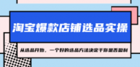 淘宝爆款店铺选品实操，2023从选品开始，一个好的选品方法决定于你是否盈利
