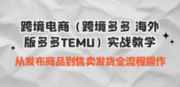 境电商（跨境多多 海外版多多TEMU）实操教学 从发布商品到售卖发货全流程