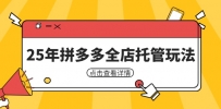 25年拼多多全店托管玩法，矩阵动销裂变玩法如何低风险盈利 新手运营秘籍