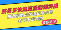 拼多多-快速流量起爆实战，拼多多新品快速起爆实操，看完不走弯路