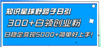 知识星球野路子日引300+白领创业粉，日稳定变现5000+简单好上手！