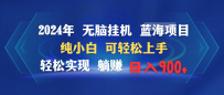 2024年无脑挂机蓝海项目 纯小白可轻松上手 轻松实现躺赚日入900+