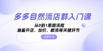 多多自然流店群入门课，从0到1思路流程，涵盖开店、加价、截流等关键环节