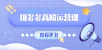拼多多高阶运营课：极致群爆款玩法，轻付费无尽复制，打造单品爆款之路