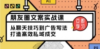 朋友圈文案实战课：从聊天技巧到广告写法，打造高效私域成交