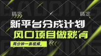 最新平台分成计划，风口项目，单号月入10000+