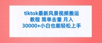 TIKTOK最新风景视频搬运教程 简单去重 月入3W+小白也能轻松上手【揭秘】