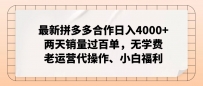 拼多多最新合作日入4000+两天销量过百单，无学费、老运营代操作、小白福利