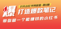 21天小红书特训营-第6期，打造爆款笔记，带你做一个能赚钱的小红书