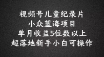 2024蓝海项目视频号儿童纪录片科普，单月收益5位数以上，新手小白可操作【揭秘】