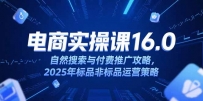 淘宝电商运营课16.0，自然搜索与付费推广攻略，2025年标品非标品运营策略