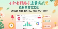 小红书野路子流量实战营：低粉高变现定位 对标账号精准分析 内容生产提效