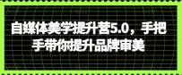 自媒体美学提升训练营5.0，手把手带你提升品牌审美