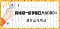 最新蓝海项目，一年2次爆发期，高峰期一部手机日入6000+（素材+课程）