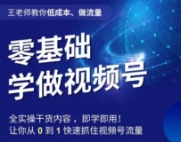 王老师教你低成本、做流量，零基础学做视频号，0-1快速抓住视频号流量