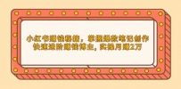 小红书赚钱秘籍，掌握爆款笔记创作，快速进阶赚钱博主, 实操月赚2万