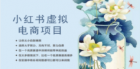 小红书虚拟电商从0到1，让你从小白到精英（20节实操课程）