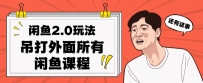 闲鱼2.0玩法单号每天日入2000，吊打市面所有课程