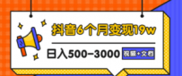 抖音6个月变现19w，日入500-3000，完整版实操攻略教程