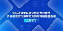 亚马逊流量与转化提升整合营销，多种引流技巧讲解助力高效突破销量瓶颈