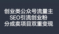 公众号创业SEO引流玩法，打造高质量流量池，双重变现项目！