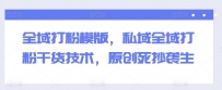 全域打粉模版，私域全域打粉干货技术，原创死抄袭生