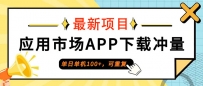 普通人单日单机100+，每日可重复，应用市场APP下载冲量