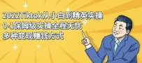 2022Tiktok从小白到精英实操，0-1保姆级实操全程无忧，多种变现赚钱方式