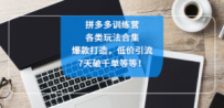 拼多多训练营：各玩法合集，爆款打造，低价引流，7天破千单等等
