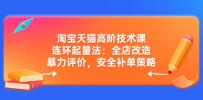 淘宝天猫高阶技术课：连环起量法：全店改造，暴力评价，安全补单策略