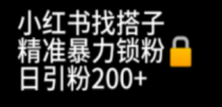 小红书找搭子暴力精准锁粉+引流日引200+精准粉