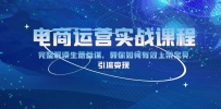电商运营实战课程：完整解读生意参谋，教你如何有效上架宝贝，引流变现