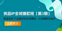 货品IP全域爆款班【第3期】赛道选择-产品策划到全域爆款，打造爆款货品IP