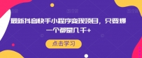 最新抖音快手小程序变现项目，只要爆一个都是几千+