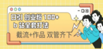 日引创业粉 100+ b 站全套打法【实操视频】