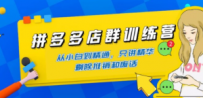 拼多多店群训练营：从小白到精通，只讲精华，剔除推销和废话