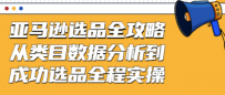 亚马逊选品全攻略：从类目数据分析到成功选品全程实操