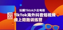TikTok海外抖音短视频线上陪跑训练营，玩赚Tiktok少走弯路