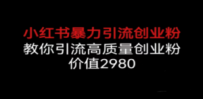 小红书暴力引流创业粉，教你引流高质量创业粉，价值2980