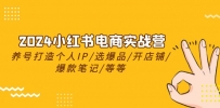2024小红书电商实战课程，养号打造IP/选爆品/开店铺/爆款笔记/等等（24节）