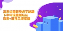 淘系运营旺季必学秘籍：下半年流量新玩法：搜索+推荐全域收割（无水印）