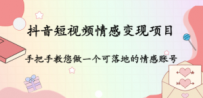 抖音短视频情感变现项目：手把手教您做一个可落地的情感账号