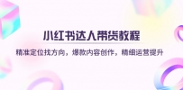 小红书达人带货教程：精准定位找方向，爆款内容创作，精细运营提升