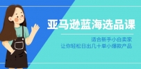 亚马逊运营蓝海选品课：适合新手小白卖家，让你轻松日出几十单小爆款产品