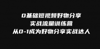 零基础短视频好物分享实战流量训练营，轻松抢占短视频红利