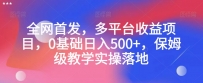 全网首发，多平台收益项目，0基础日入500+，保姆级教学实操落地【揭秘】