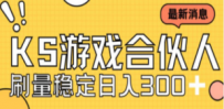 快手游戏合伙人新项目，新手小白也可日入300+，工作室可大量跑