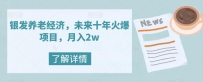 银发养老经济，未来10年火爆项目，月入2W