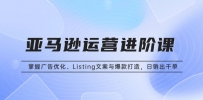 亚马逊运营进阶课：掌握广告优化、Listing文案与爆款打造，日销出千单